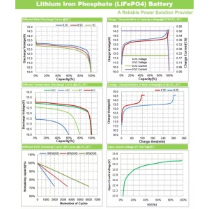 Eurteck LiFePO4 12.8V 100Ah Lithium Battery Built-in Smart BMS