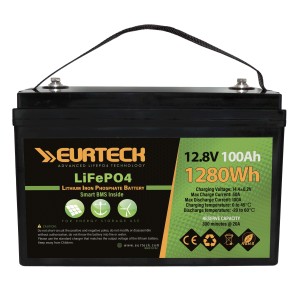 Eurteck LiFePO4 12.8V 100Ah Lithium Battery Built-in Smart BMS