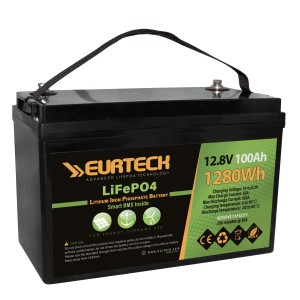 Eurteck LiFePO4 12.8V 100Ah Lithium Battery Built-in Smart BMS
