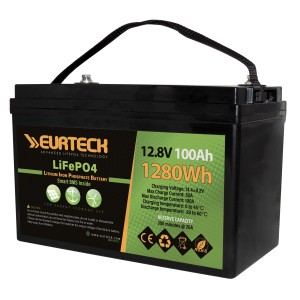 Eurteck LiFePO4 12.8V 100Ah Lithium Battery Built-in Smart BMS