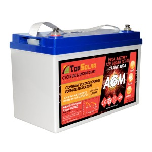 TopSolar 100Ah 12V C10 AGM battery Solar Wind Photovoltaic Systems