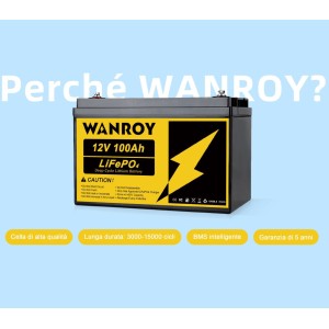 WANROY 12V 100Ah LiFePO4 Battery With 100A BMS 12.8V 1280Wh