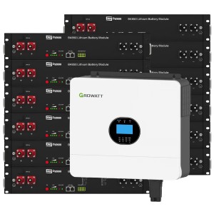Growatt 6kW Dyness Battery 28.8kWh OFF-GRID Single-phase storage system photovoltaic kit